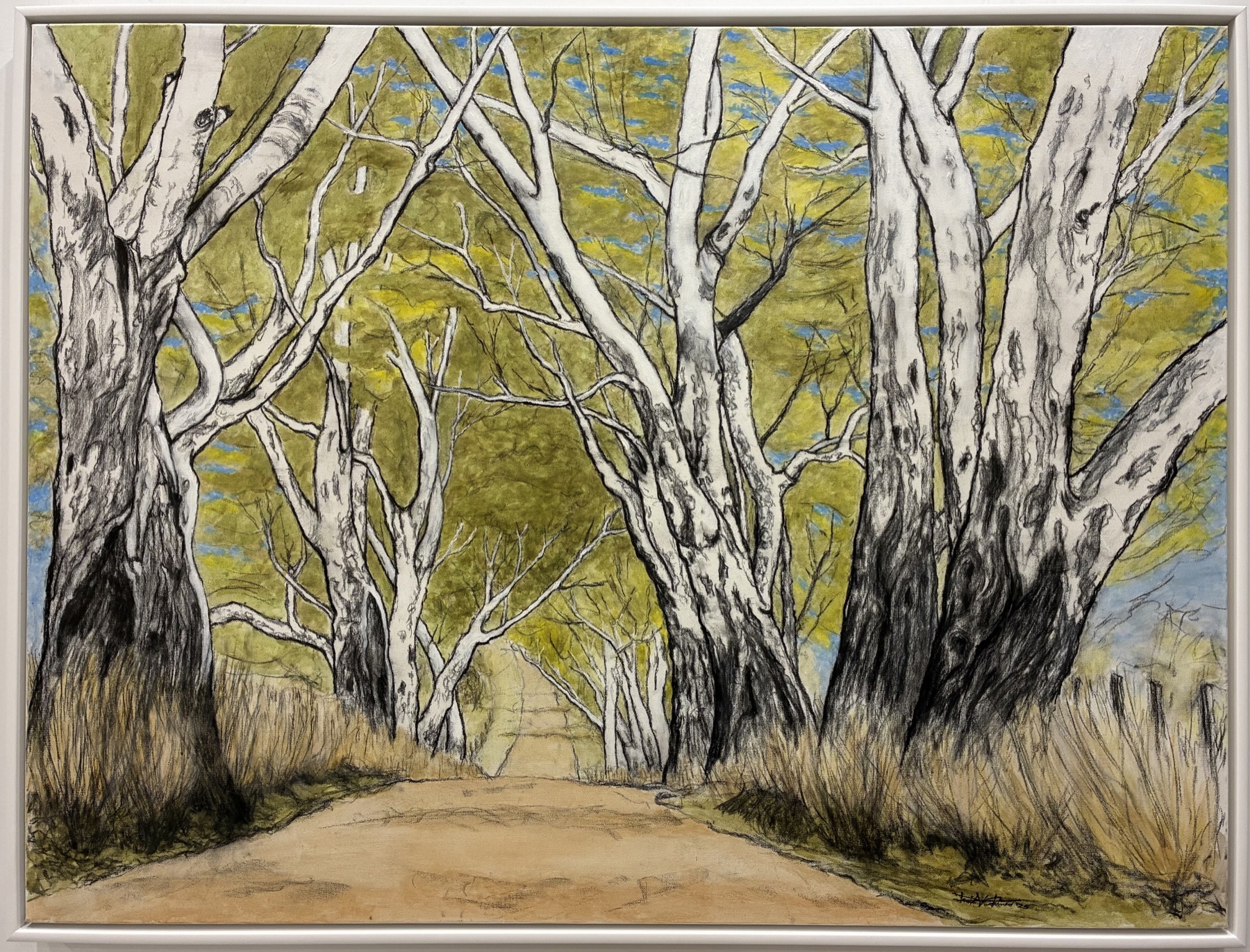 The Gumtree Track